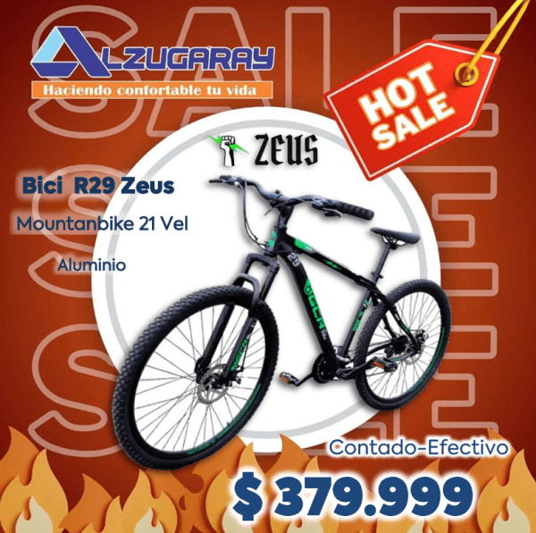 Bicicleta Mtb R29 Gca Zeus Cuadro Aluminio 21 Vel(9897)